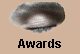 Awards