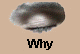 Why"