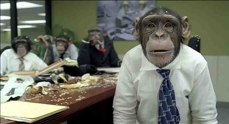 Andrey Korneyev 126 16 trained monkeys