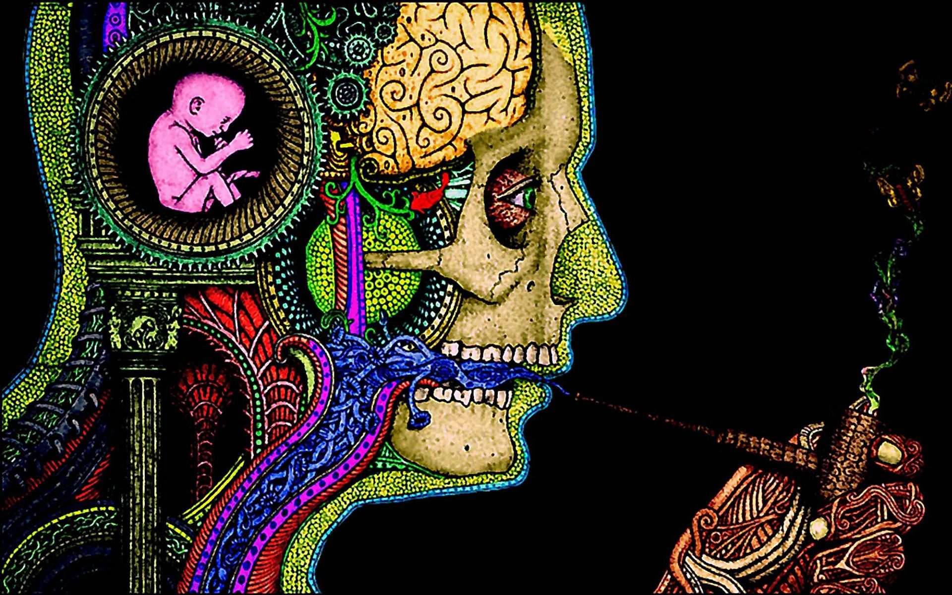 Visionary Cannabis Moon