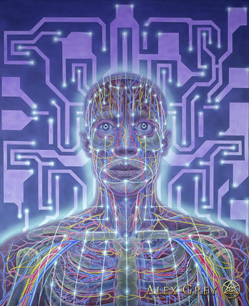 GOD, DMT, and the Holographic Universe 92 Alex Grey Networks