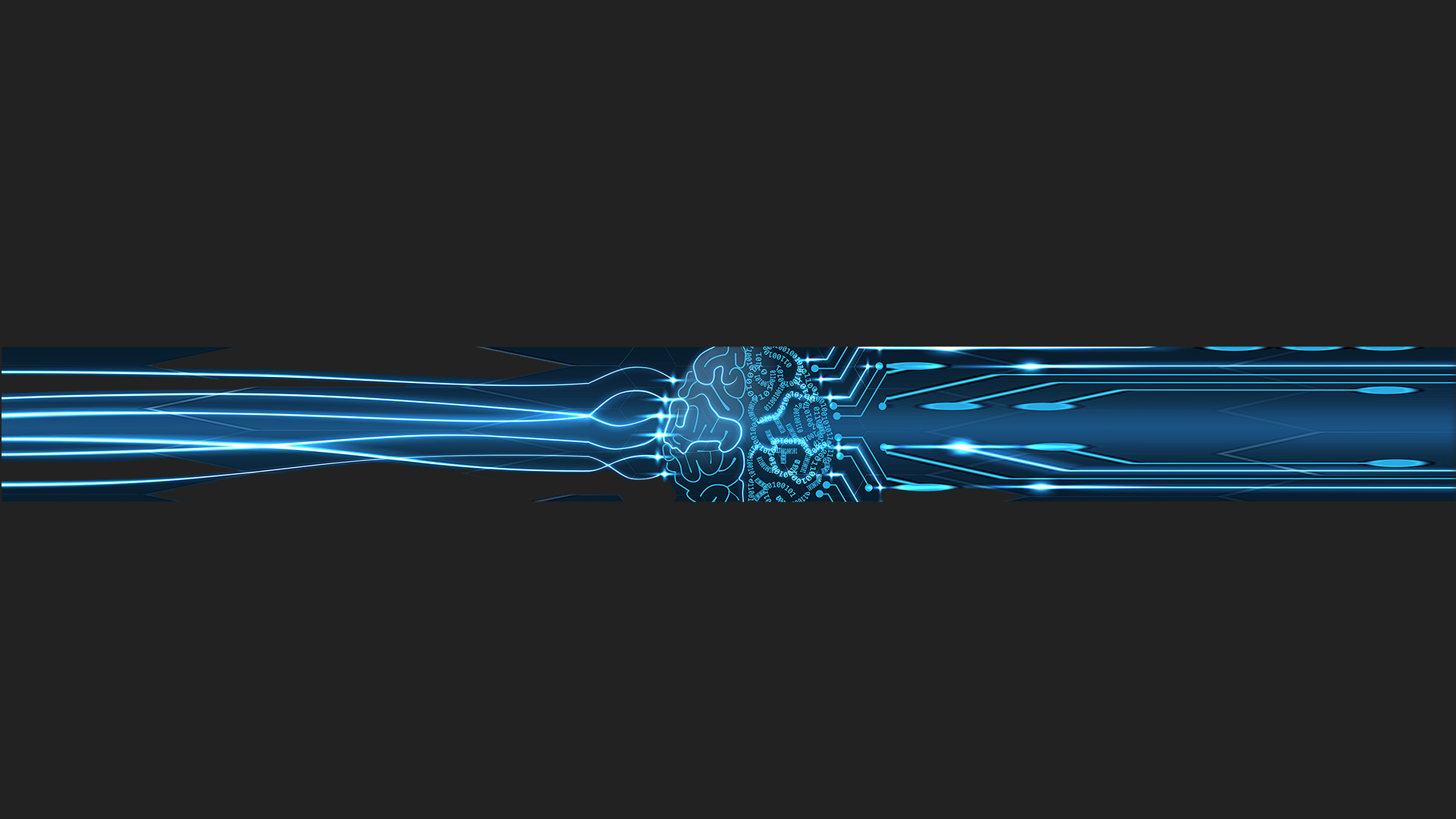 Headers Gallery 1503 Digitized Brain