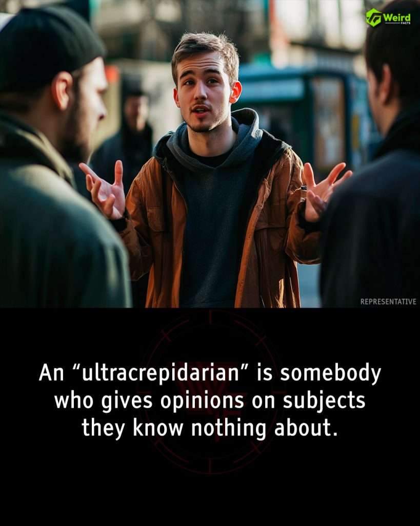Strange Words for Feelings that We've All Experienced 91 Ultracrepidarian