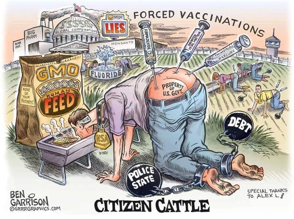 II. Support Our Causes A-L 137 This image has an empty alt attribute; its file name is GMO-Citizen-Cattle.jpg