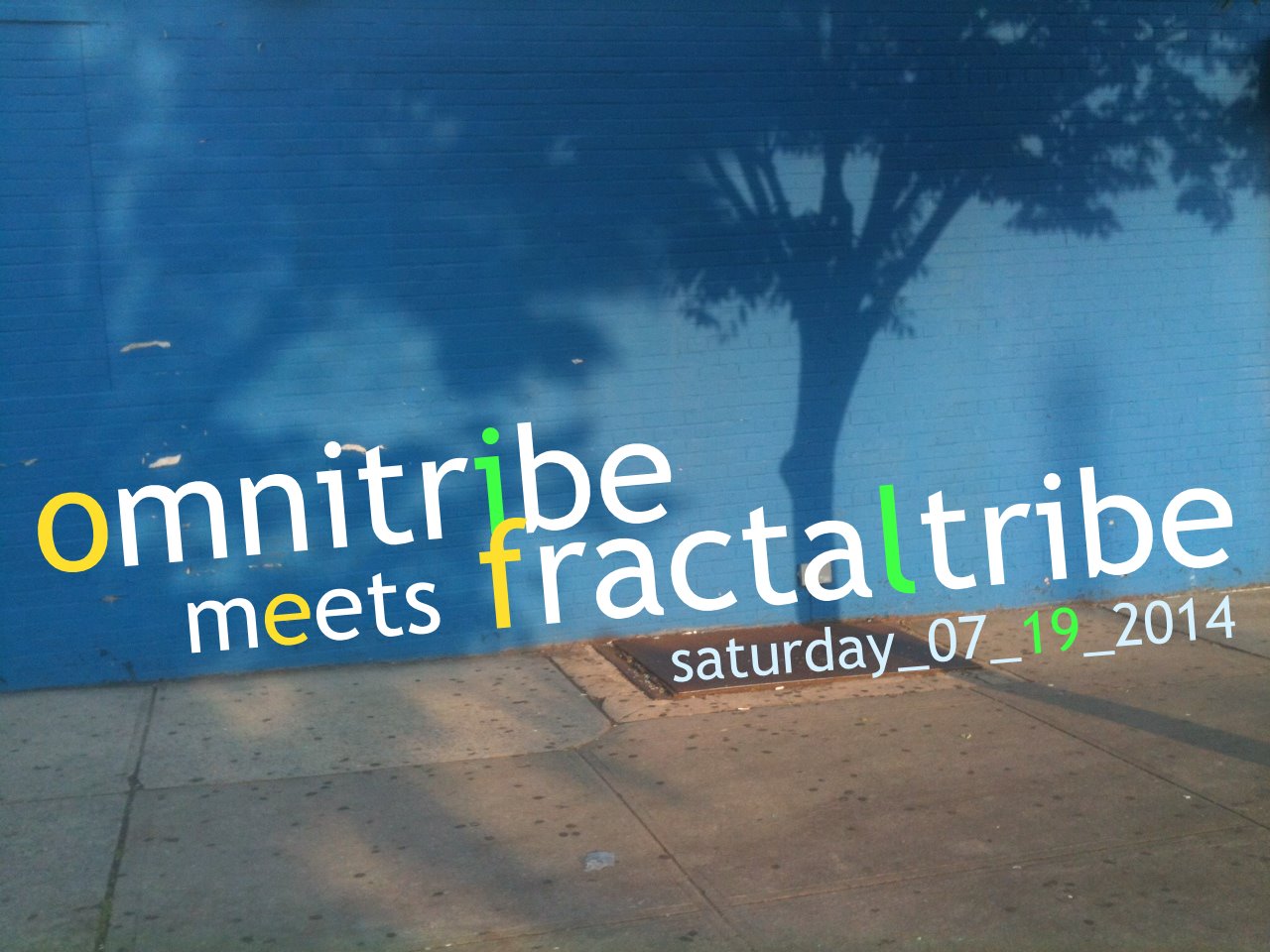 2014 NYC Psytrance 113 2014 7 19 Omnitrbe