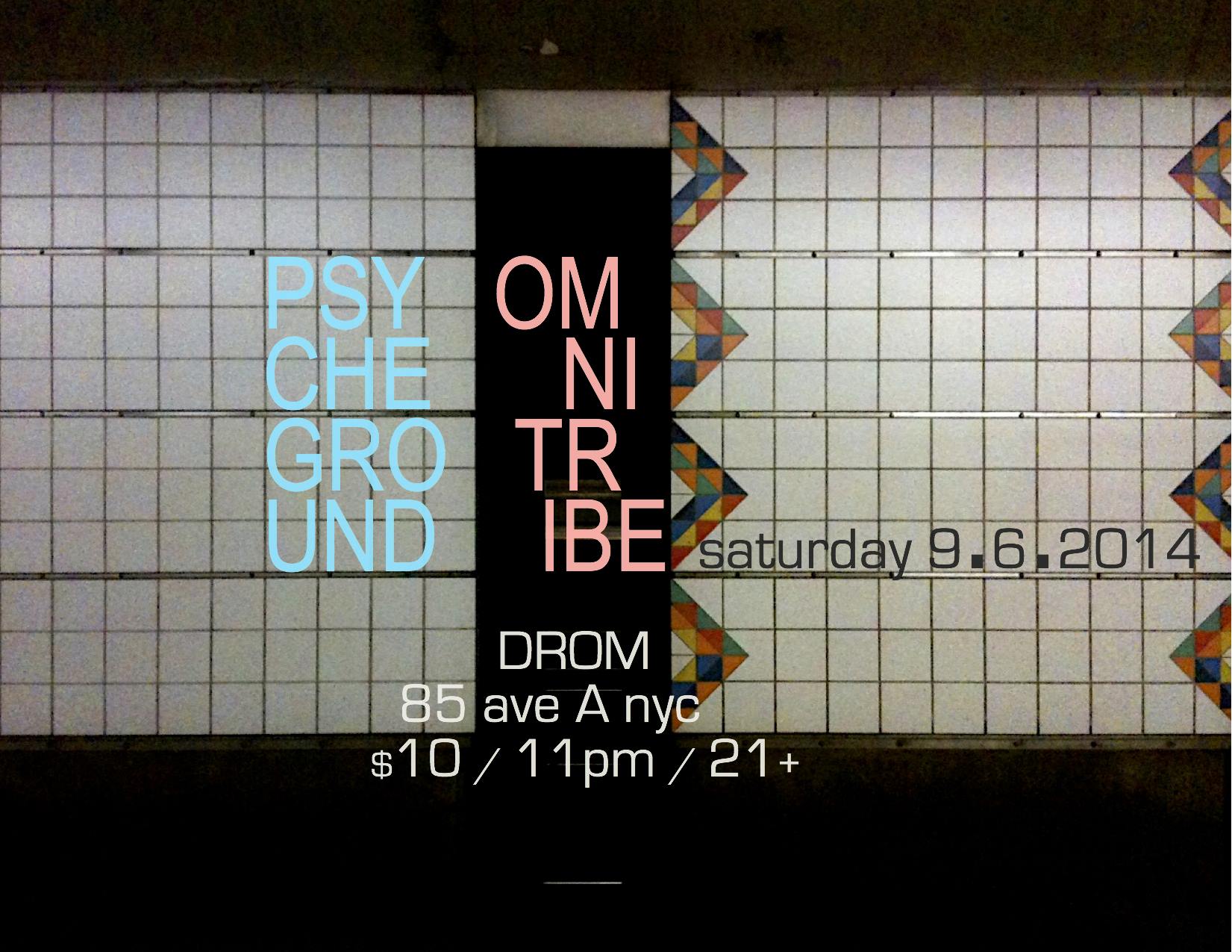 2014 NYC Psytrance 118 2014 9 6 Omnitrbe