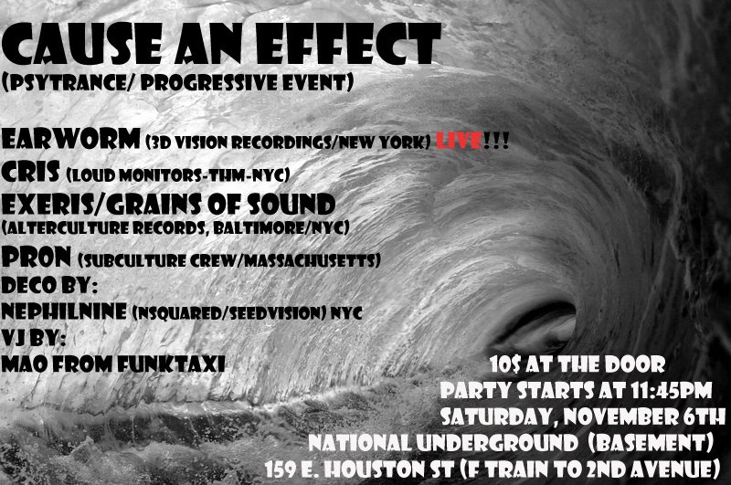 2010 NYC Psytrance 2 116 2010 11 6
