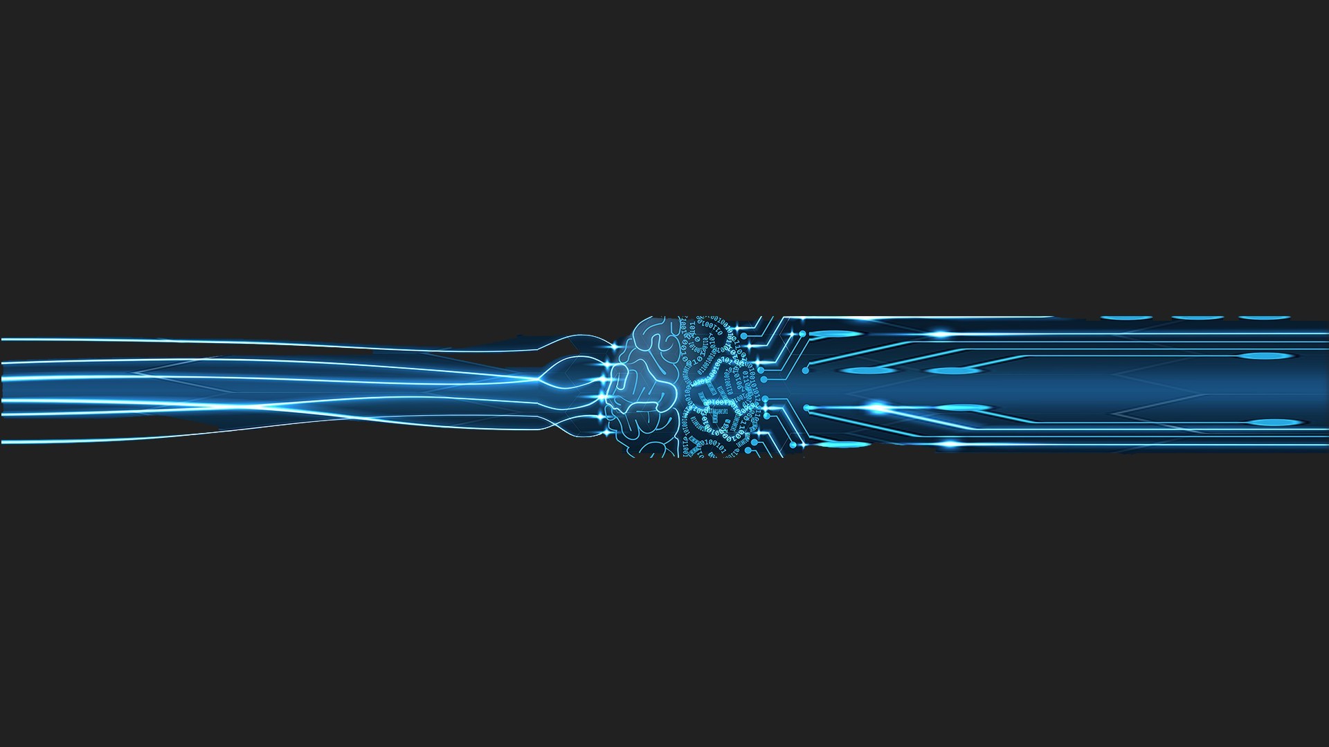 Headers Gallery 1493 Digitized Brain 2 Header
