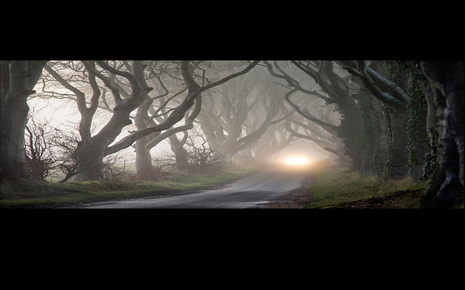 Headers Gallery 1489 Highway Header