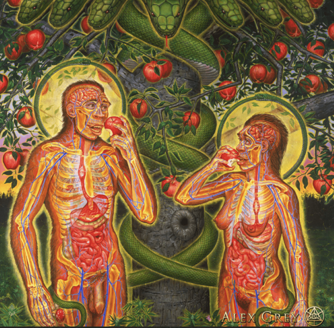The Life Cycle of Scenes 89 Alex Grey Adam And Eve