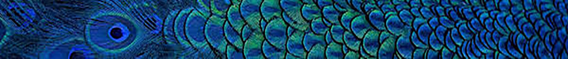 Headers Gallery 1417 Narrow Abstract 14