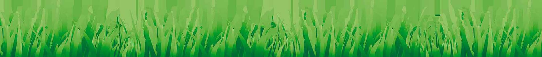 Headers Gallery 1299 Narrow Nature Maintwoslideback3