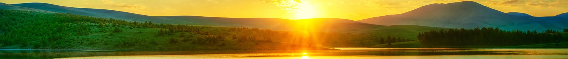 Headers Gallery 1283 Narrow Nature Succession