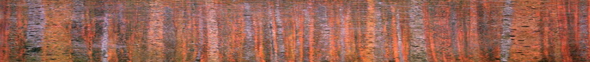 Headers Gallery 1129 Nrw Art Klimt
