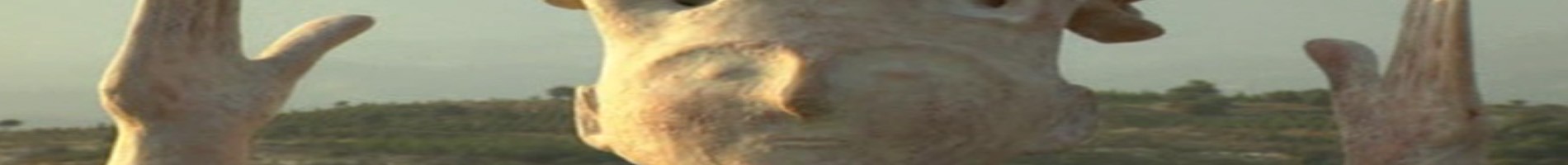 Headers Gallery 1125 Nrw Art Mycenae