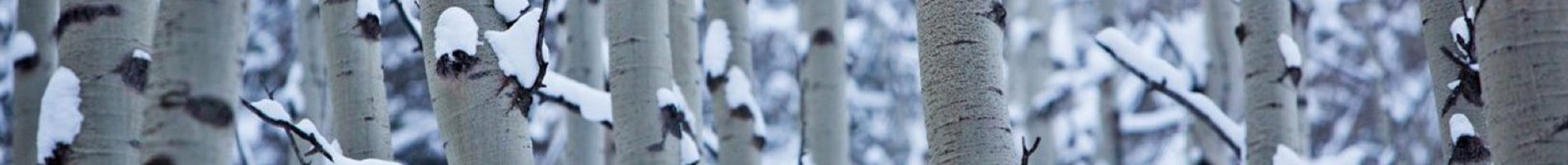 Headers Gallery 969 Nrw Nat Cold Aspens