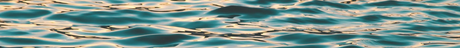 Headers Gallery 985 Nrw Nat Ocean Surface 1