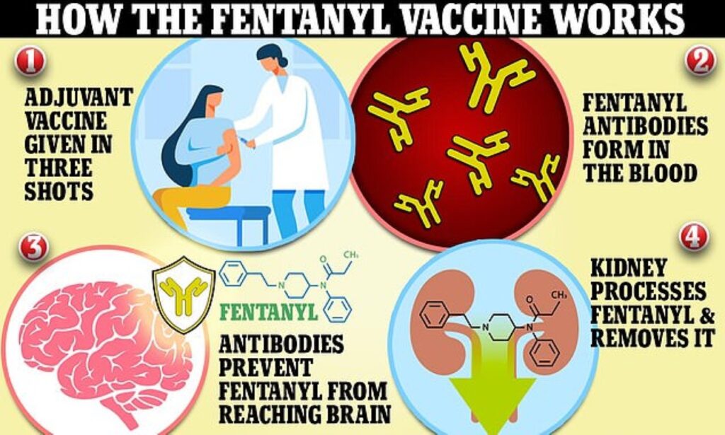 Fentanyl Vaccine