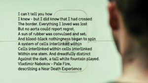 New Media 114 Interlinked Pale Fire