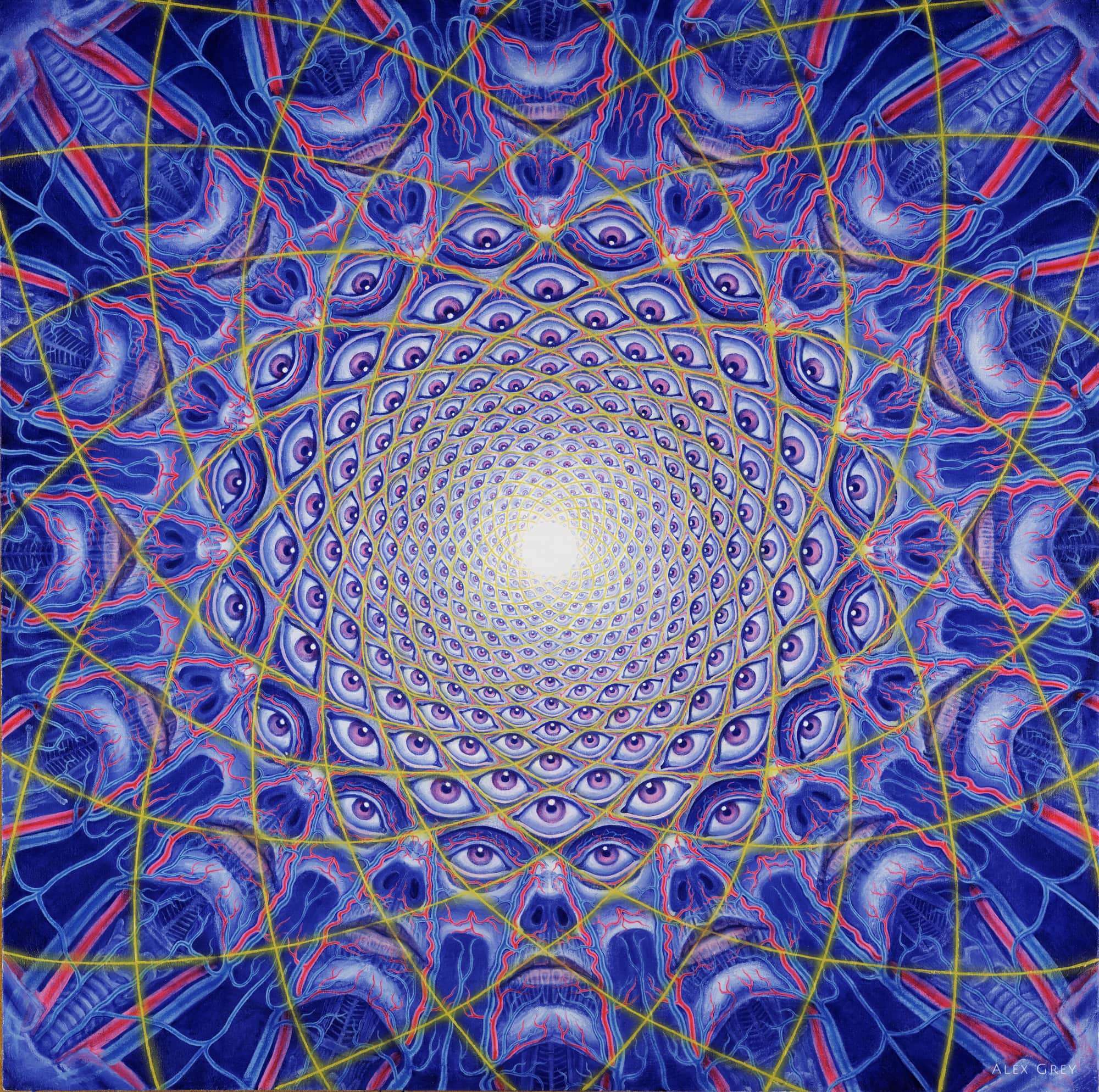 Alex Grey Collective Vision