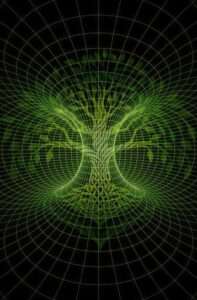 New Media 46 Cate Farrand Tree mp4 image